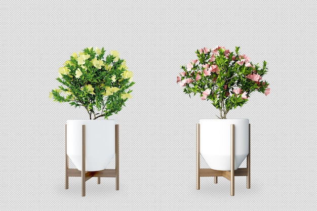 PSD plants in pots in 3d rendering