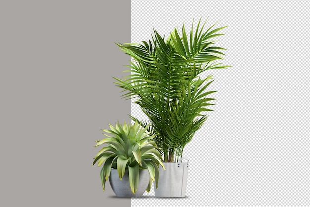 PSD plants in pots in 3d rendering