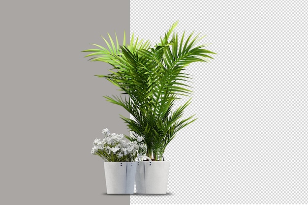 3Dレンダリングで鉢植えの植物