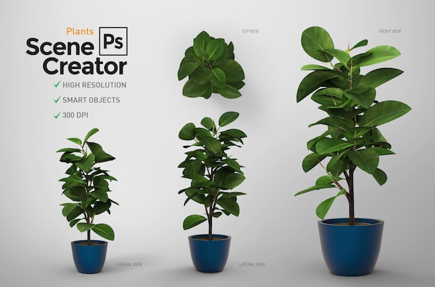 PSD plants. scene creator. resource.