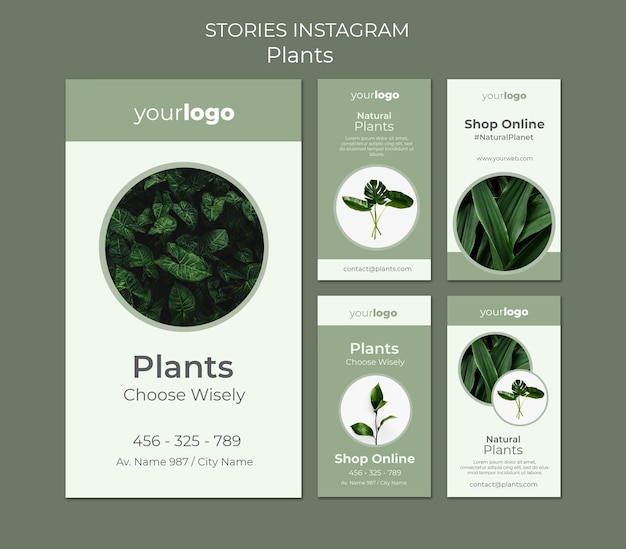 PSD plants shop instagram stories template