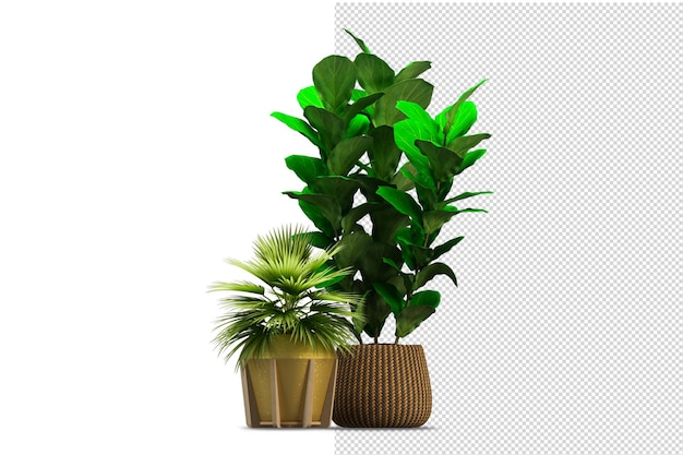 Plants in various angles scene creator