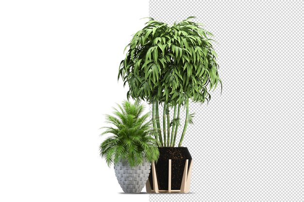 さまざまな角度の植物シーンクリエーター
