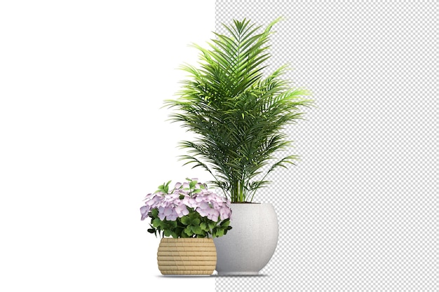 PSD plants in various angles scene creator