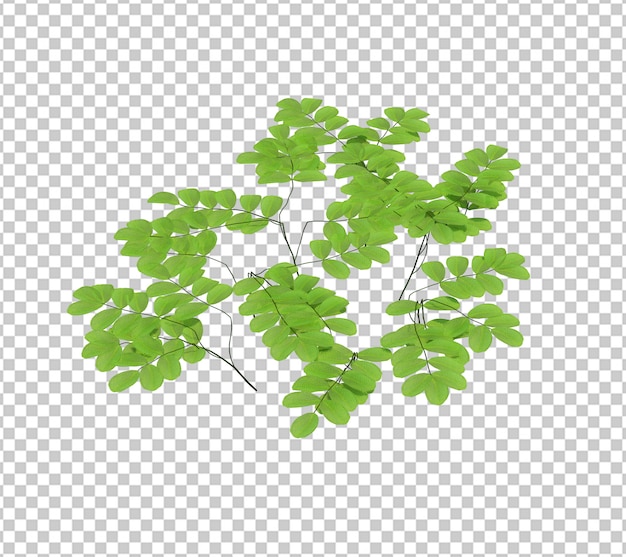 PSD 緑の葉が付いている植物