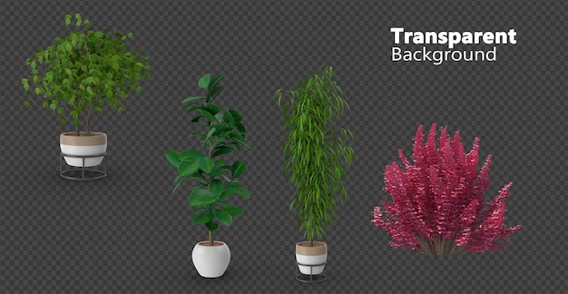 PSD 飾り用の鉢の植物