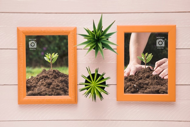 Plat leggen van rechthoekige frames op houten achtergrond met vetplanten