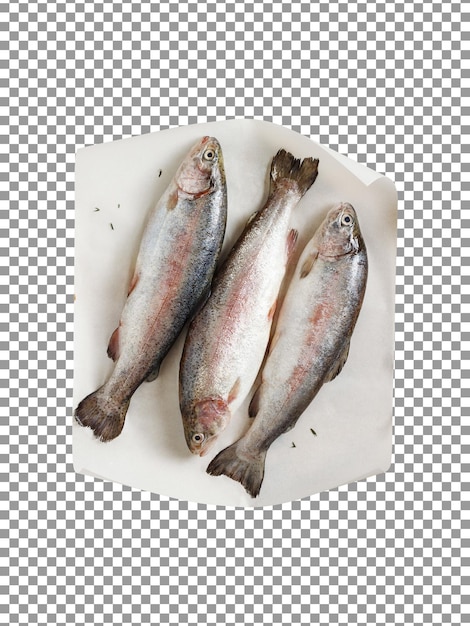 PSD a plate of fresh fishes isolated on transparent background