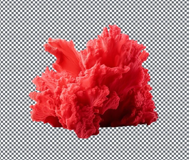 PSD pleasing coral red velvet isolated on transparent background