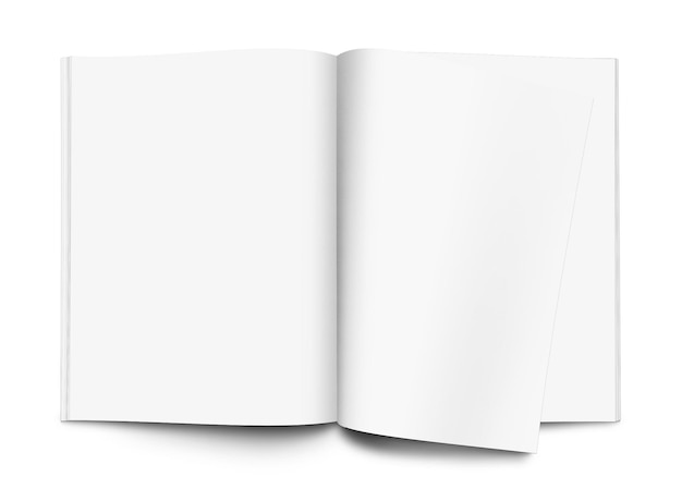 Plik mockup 2