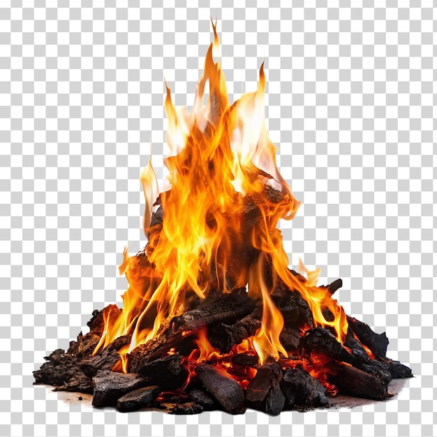 PSD płonący ogień z drewnem na przezroczystym tle
