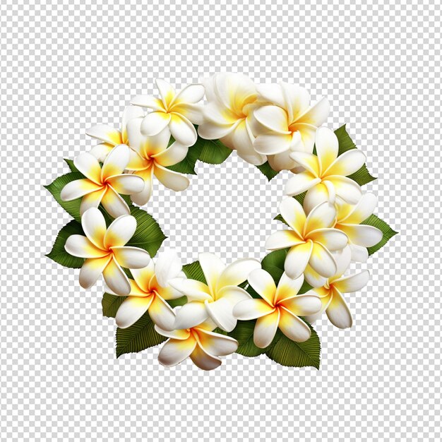 PSD plumeria flowers isolated on white