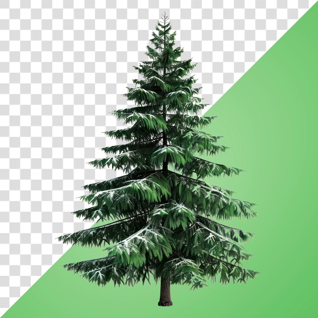 PNG 3D animated Christmas tree realistic art illustration