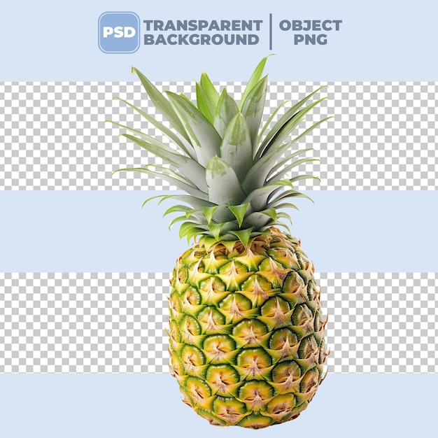 Png Ananas Przezroczysty Tło Psd.