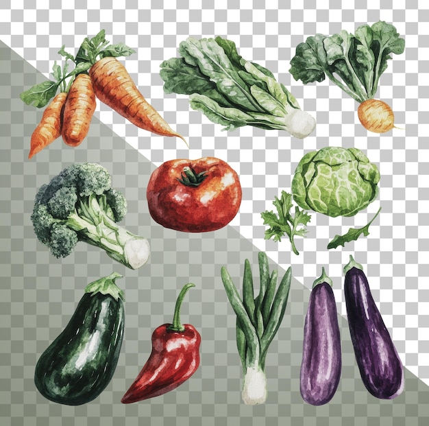 png artistic display of fresh vegetables