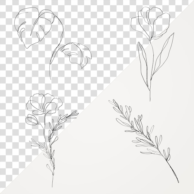 Png bloemen minimale lijn kunst illustratie collectie