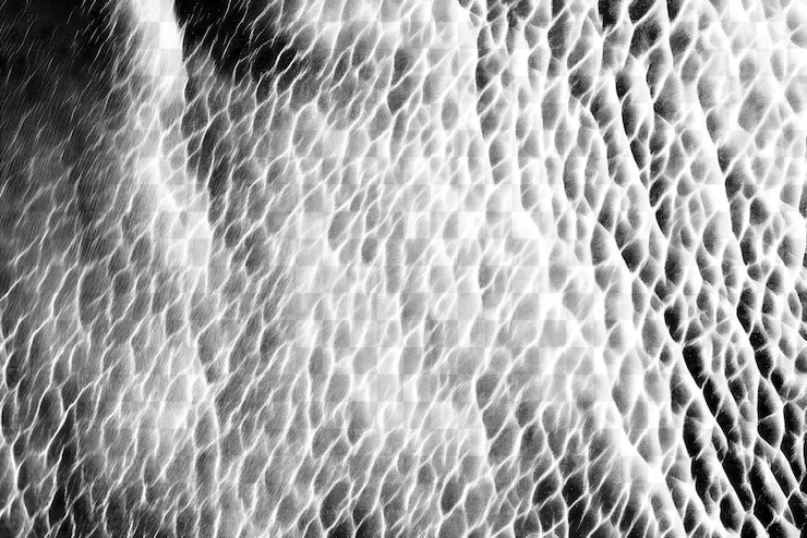 PSD png cow skin texture black backgrounds