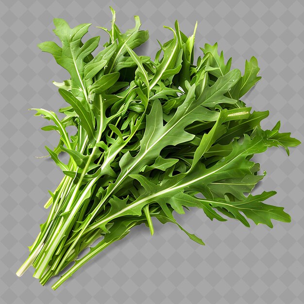 PSD png dandelion verdi verdure a foglia foglie frastagliate foglie caratterizzate verdure fresche isolate