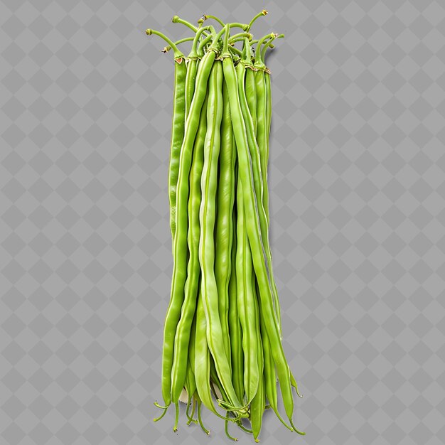 PSD png długie fasole rośliny strączkowe długie szczupłe zielone pąki obiekt musi być odizolowany odizolowane świeże warzywa