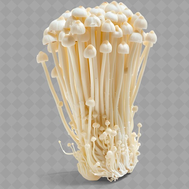 PSD png enoki funghi funghi lunghi e bianchi con cappucci sottili sui gambi oggetto m verdure fresche isolate