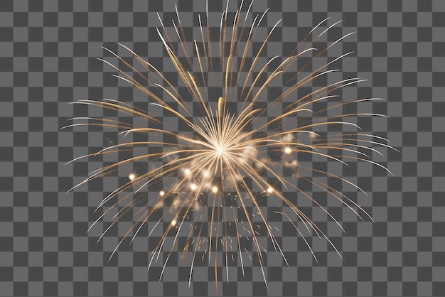 PNG Firework fireworks celebration pyrotechnic