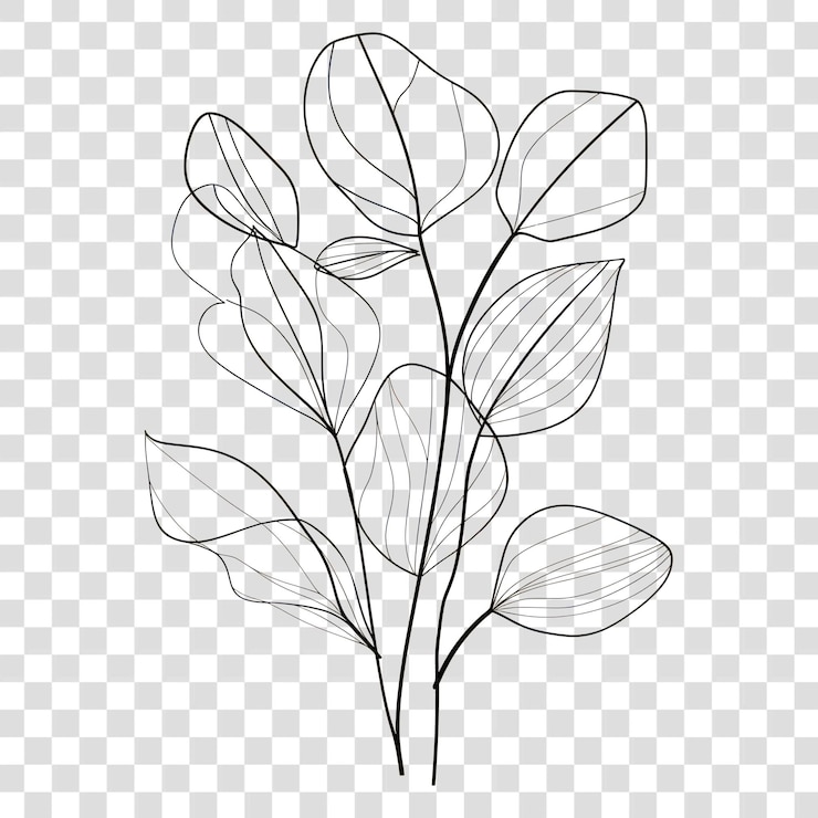 PSD png 手描きの葉 簡素的な絵の葉