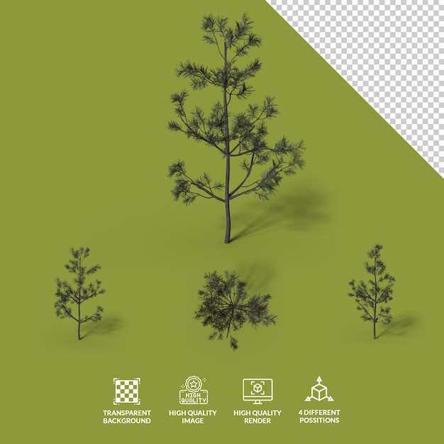 PSD png kleine dennenboom met doorzichtige schaduw en 4 verschillende bezittingen