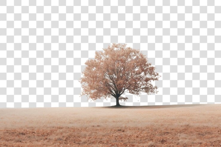 PSD png a large tree in the middle of a field with leaves on the ground plant bird tranquility