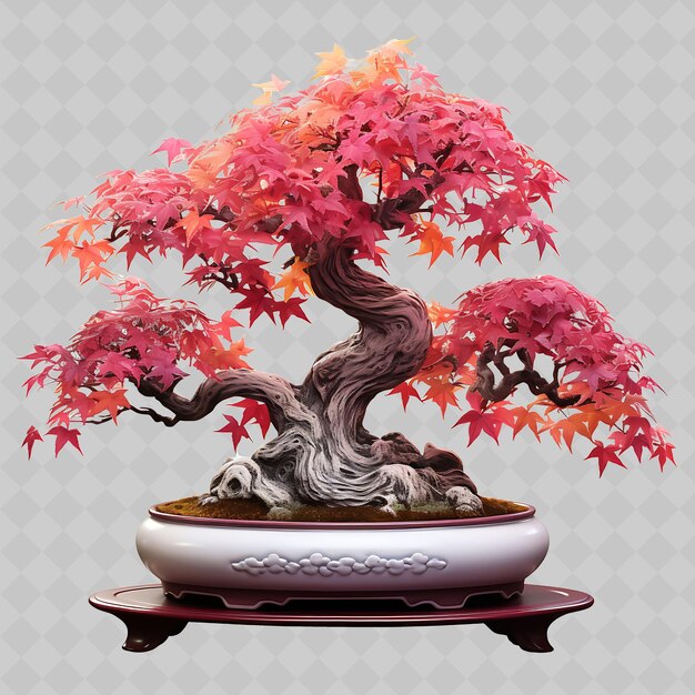 PSD png maple bonsai tree porcelain pot palmate leaves crimson theme transparent diverse trees decor