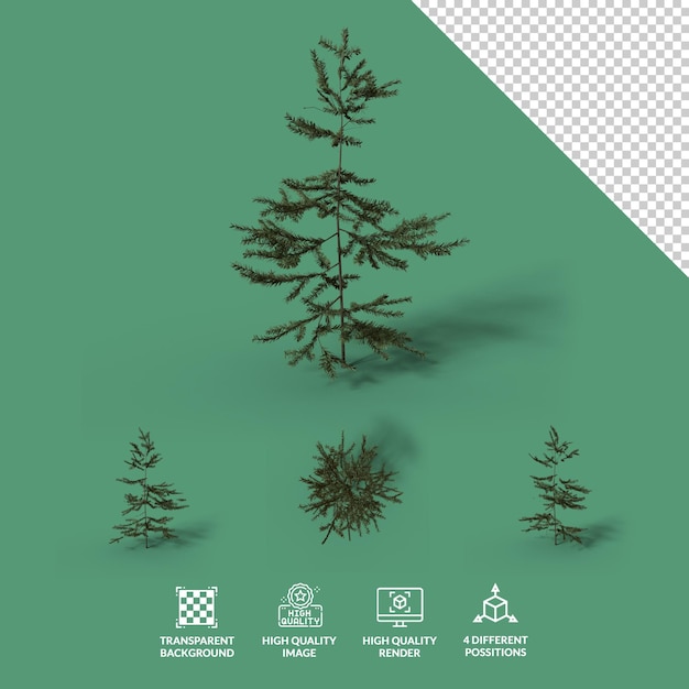 PSD png pine tree with transparent shadown and 4 different possitions