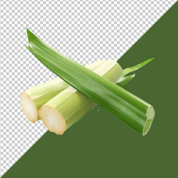 Png and psd fresh sugarcane isolated on a transparent background