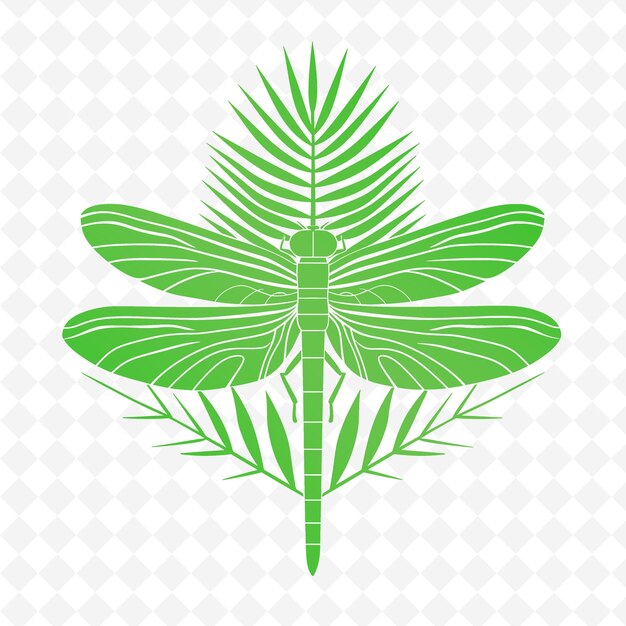 Png Raffia Palm With Dragonfly Wing Textures And Simple Icons Wi Outline 동물 및 열대 잎