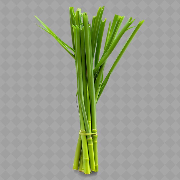 PSD png rattan shoots palm vegetable green scaly tender shoots objec isolated fresh vegetables