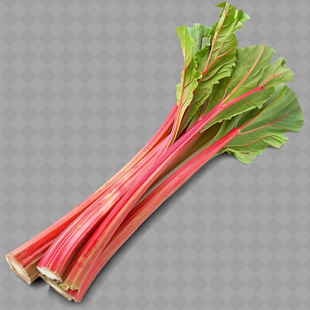 Png Rhubarb 줄기 채소 긴 줄기 특징은 은 고립 된 신선한 채소입니다.