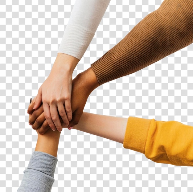파푸아니의 스타트업은 팀워크와 다양한 협력을 함께합니다.