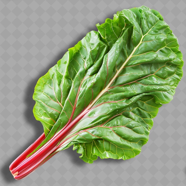 PSD png swiss chard leafy vegetable large leaves with thick stems ch isolated clean and fresh vegetable