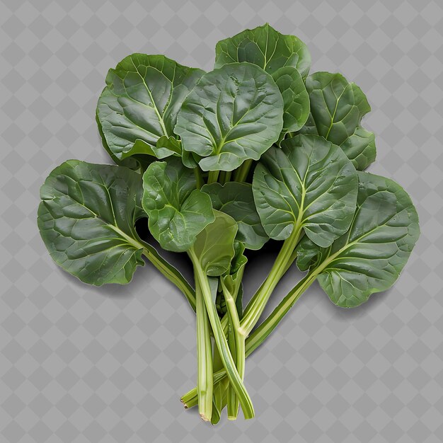 PSD png tatsoi leafy vegetable spoon shaped leaves characterized by isolated fresh vegetables