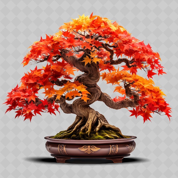 PSD png trident maple bonsai tree stone pot lobed leaves autumn them transparent diverse trees decor