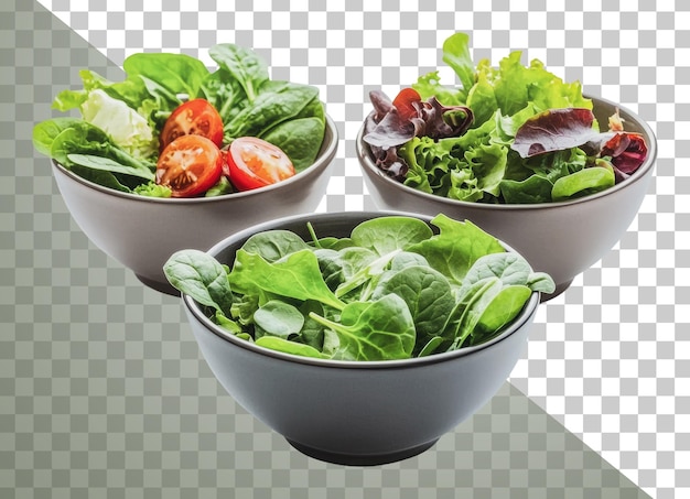 PNG Verscheiden groene en groente saladeschalen