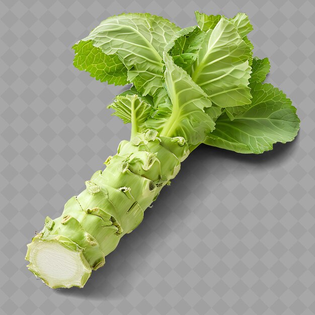 PSD png wasabi rizome vegetable verde pallido stelo fibroso come rizoma vegetali freschi isolati