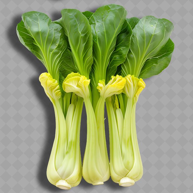 PSD png yu choy 十字花の野菜 黄色いグリと隔離された長い茎の清潔で新鮮な野菜