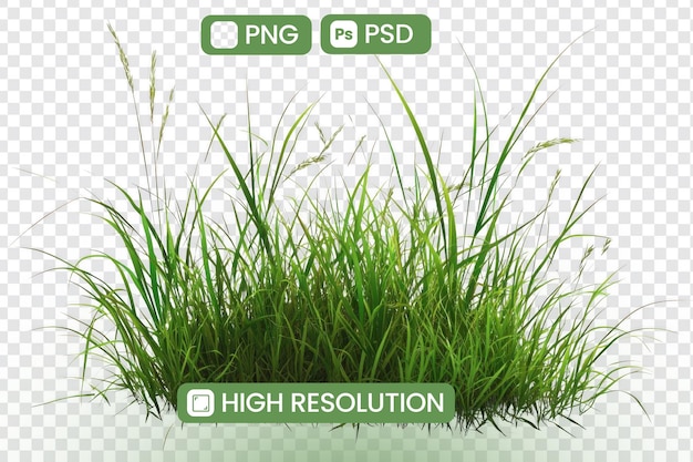 Pobierz pliki PNG i PSD HighResolution Lush Green Grass dla projektów projektowych Wzmacniające wizualizacje z naturą Piękno Idealne dla sztuki cyfrowej i projektowania graficznego