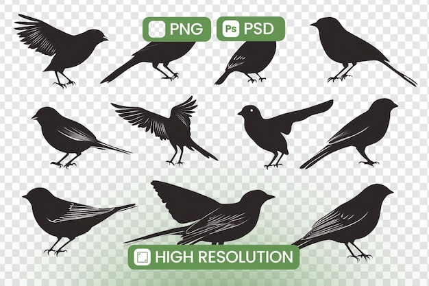 Pobierz wysokiej rozdzielczości PNG i PSD sylwetki ptaków Dwanaście unikalnych pozy ptaków dla projektów projektowania graficznego Doskonałe dla inspirowanych naturą dzieł sztuki i kreatywnych aplikacji