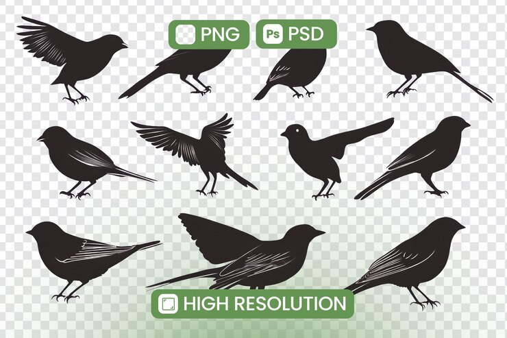 PSD pobierz wysokiej rozdzielczości png i psd sylwetki ptaków dwanaście unikalnych pozy ptaków dla projektów projektowania graficznego doskonałe dla inspirowanych naturą dzieł sztuki i kreatywnych aplikacji
