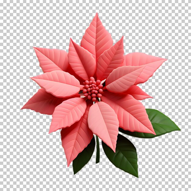 PSD poinsettia flower isolated on transparent background