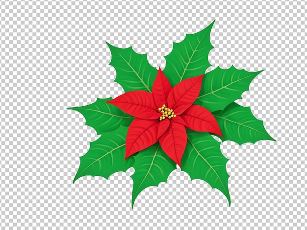 Poinsettia met illustratie van groen blad