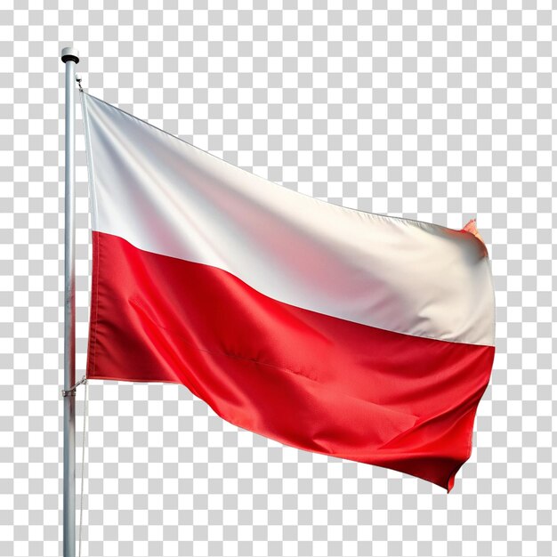 Una bandiera polacca su uno sfondo trasparente