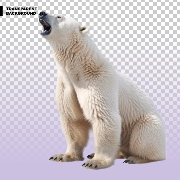 Белый медведь на прозрачном фоне
