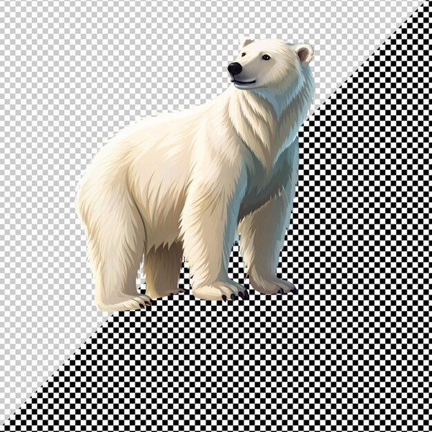 PSD polar bear