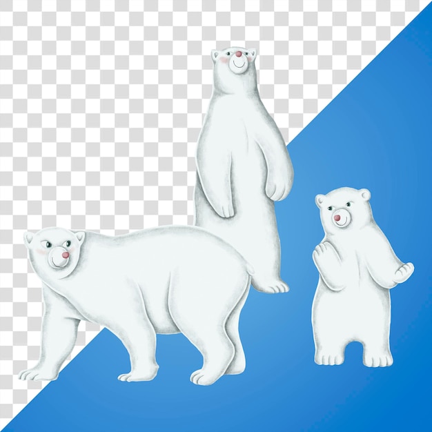 北極クマ PNG スティッカー クリスマスのイラスト 透明な背景